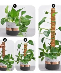 IRISFR 2 Pièces Tuteur Plante,Tuteur Coco, Poteau De Coco, Bâton De Coco Pour La Maison Jardin Plante Grimpantes Extension De Support De Plante，Lilaris -Accessoire de culture Soldes Boutique 56494190 4