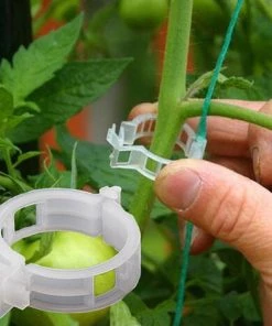IRISFR Lot De 100 Clips De Fixation Pour Plantes De Jardin, Pour Attacher Plantes Ficelle Vigne Treillis Cages Vigne Légumes Outils Greffage Pour Faire Pousser Plantes Droites Plus Saines，Lilaris -Accessoire de culture Soldes Boutique 56494192 3