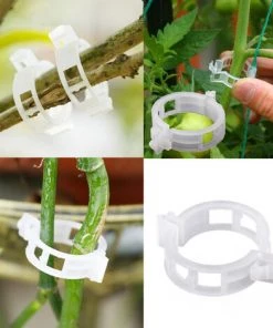 IRISFR Lot De 100 Clips De Fixation Pour Plantes De Jardin, Pour Attacher Plantes Ficelle Vigne Treillis Cages Vigne Légumes Outils Greffage Pour Faire Pousser Plantes Droites Plus Saines，Lilaris -Accessoire de culture Soldes Boutique 56494192 5