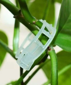DENUOTOP 100 Pcs Clip Tomates, Usine Clip, Graft Croissance Clip, Support Pour Plantes De Jardin Clips Pour Les Légumes Tomate Vigne Tiges De Croissance Droit Et Plus Sain, Clips Réutilisables -Accessoire de culture Soldes Boutique 56525228 3