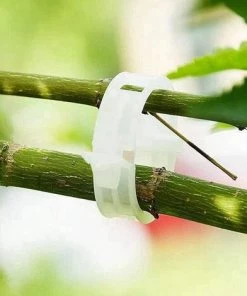 DENUOTOP 100 Pcs Clip Tomates, Usine Clip, Graft Croissance Clip, Support Pour Plantes De Jardin Clips Pour Les Légumes Tomate Vigne Tiges De Croissance Droit Et Plus Sain, Clips Réutilisables -Accessoire de culture Soldes Boutique 56525228 5