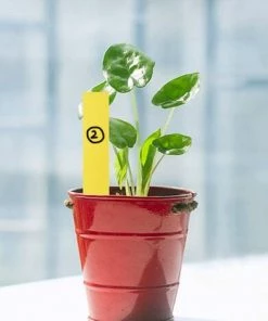 PERLE RARE Étiquette En Plastique Pour Plantes 100 Pièces, étiquette De Jardin En Plastique Jaune 10x2cm -Accessoire de culture Soldes Boutique 56532834 3