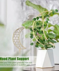 SUPERSELLER Tuteur Pour Végétaux Support De Plante Bois Plante Escalade Cadre Jardin Fleur Support 12 Pouces Tomate Treillis Pour Escalade Légumes Petite Plante Fleur - Tapez 4 -Accessoire de culture Soldes Boutique 56802070 3