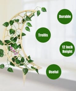 SUPERSELLER Tuteur Pour Végétaux Support De Plante Bois Plante Escalade Cadre Jardin Fleur Support 12 Pouces Tomate Treillis Pour Escalade Légumes Petite Plante Fleur - Tapez 4 -Accessoire de culture Soldes Boutique 56802070 4