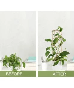 SUPERSELLER Tuteur Pour Végétaux Support De Plante Bois Plante Escalade Cadre Jardin Fleur Support 12 Pouces Tomate Treillis Pour Escalade Légumes Petite Plante Fleur - Tapez 4 -Accessoire de culture Soldes Boutique 56802070 5