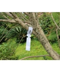 BENOBBY KIDS 200PCS Étiquettes D'arbres En Plastique Étiquettes De Plantes 2x20cm Enrouler Autour De Marqueurs De Jardin Suspendus (blanc) -Accessoire de culture Soldes Boutique 56863149 3