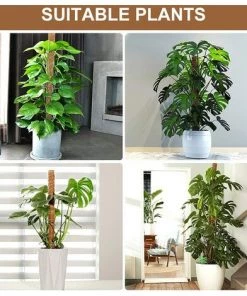 AIDUCHO Bâton De Plante De Noix De Coco De 42 Cm, 2 Morceaux De Bâton De Mousse, Aide à L'escalade, Bâton De Plante Avec 2 Panneaux De Plantes, Cadre D'escalade De Plantes En Fibre De Coco Naturelle Avec Pelle à Semis Et Corde De Chanvre Pour Plantes Grimpantes D -Accessoire de culture Soldes Boutique 57583810 5