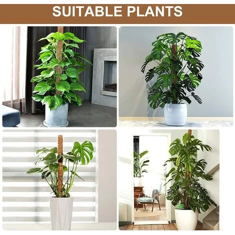 AIDUCHO Bâton De Plante De Noix De Coco De 52 Cm, Bâton De Plante En Treillis De Bâton De Mousse 2 Pièces Avec 2 Panneaux De Plantes, Cadre D'escalade En Fibre De Noix De Coco Naturelle Avec Pelle à Semis Et Corde De Chanvre Pour Plantes Grimpantes De Jardin 7 AIDUCHO Bâton De Plante De Noix De Coco De 52 Cm, Bâton De Plante En Treillis De Bâton De Mousse 2 Pièces Avec 2 Panneaux De Plantes, Cadre D'escalade En Fibre De Noix De Coco Naturelle Avec Pelle à Semis Et Corde De Chanvre Pour Plantes Grimpantes De Jardin – Image 5