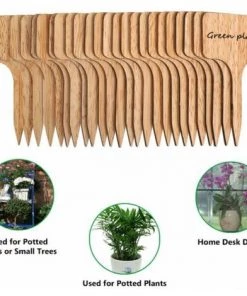 BEICHEN 20pcs étiquette De Plante En Bambou Marqueurs De Plante 6 X 10 Cm 7 BEICHEN 20pcs étiquette De Plante En Bambou Marqueurs De Plante 6 X 10 Cm -Accessoire de culture Soldes Boutique 57755050 2
