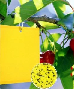 DECKON 40pcs Pièges à Insectes,Pieges Collants Double Face,Jaune Mouche Piège Double Face,Jaune Papier Anti-Insecte Anti Blanc Feuille De Mouches