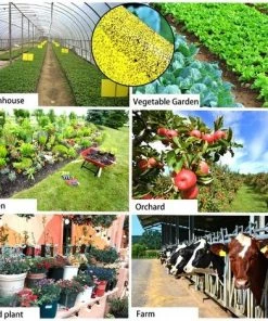 DECKON 40pcs Pièges à Insectes,Pieges Collants Double Face,Jaune Mouche Piège Double Face,Jaune Papier Anti-Insecte Anti Blanc Feuille De Mouches -Accessoire de culture Soldes Boutique 57878875 5