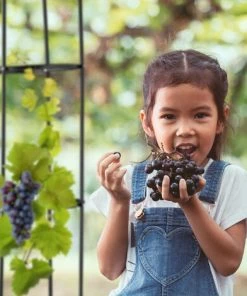 Relaxdays Trellis Obélisque, 190 M De Hauteur, Support Pour Plantes Grimpantes, En Métal, Stable, Tour Pour Rosier, Noir -Accessoire de culture Soldes Boutique 58121493 4