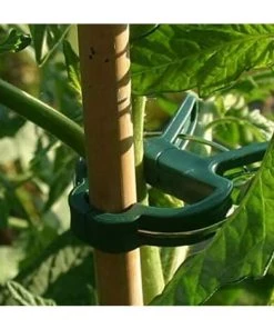 LONGZIMING Pinces à Plantes, Porte-plantes, Pinces à Plantes Et à Fleurs, Connecteurs De Plantes, Outils Pour Stabiliser Les Jeunes Plantes Ou Les Longues Tiges De Fleurs De Plantes (30 Grandes + 30 Petites) -Accessoire de culture Soldes Boutique 58324508 3