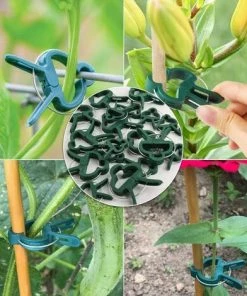 LONGZIMING Pinces à Plantes, Porte-plantes, Pinces à Plantes Et à Fleurs, Connecteurs De Plantes, Outils Pour Stabiliser Les Jeunes Plantes Ou Les Longues Tiges De Fleurs De Plantes (30 Grandes + 30 Petites) -Accessoire de culture Soldes Boutique 58324508 4