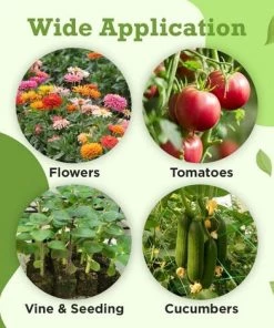 LONGZIMING Pinces à Plantes, Porte-plantes, Pinces à Plantes Et à Fleurs, Connecteurs De Plantes, Outils Pour Stabiliser Les Jeunes Plantes Ou Les Longues Tiges De Fleurs De Plantes (30 Grandes + 30 Petites) -Accessoire de culture Soldes Boutique 58324508 5