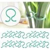 LONGZIMING 100 Pièces Clips De Jardin Support Pour Plantes Clips, Réutilisables Pinces à Plantes Cernes En Plastique, Clips De Plantes Durables Twisty Plante Anneaux Pour Soutenir La Plante Grimpantes