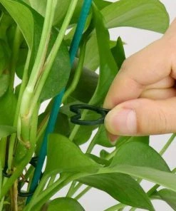 LONGZIMING 200 Pièces Clips De Vigne Végétale, 2 Taille Clips De Support Pour Plantes Clips De Fixation De Vigne Pour Support De Tige De Fleur De Fruit De Légume (Vert) -Accessoire de culture Soldes Boutique 58324797 5