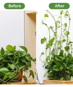 ABCRITAL 50Pcs Clips Plantes Fixation De Plantes Grimpantes, Clips De Fixation De Support Auto-Adhésifs Pour La Décoration De La Maison Plantes Grimpantes -Accessoire de culture Soldes Boutique 58345103 4