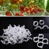 ABCRITAL Lot De 100 Clips De Support De Plantes Pour Légumes, Tomates, Et Plants De Vignes - Pour Une Croissance Verticale Et Plus Saine 2.6Cm X 2Cm Blanc -Accessoire de culture Soldes Boutique 58345215 1