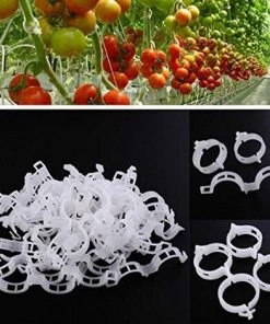 ABCRITAL Lot De 100 Clips De Support De Plantes Pour Légumes, Tomates, Et Plants De Vignes - Pour Une Croissance Verticale Et Plus Saine 2.6Cm X 2Cm Blanc