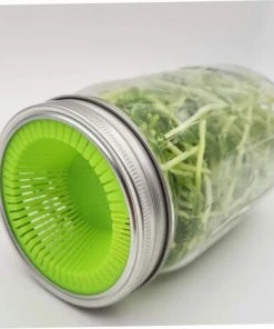 STARLIGHT SL.GT Couvercles De Filer à La Germination Couvercles De Fermentation Mason Jar Avec Couvercle En Acier Inoxydable,2PCS,vert 10 STARLIGHT SL.GT Couvercles De Filer à La Germination Couvercles De Fermentation Mason Jar Avec Couvercle En Acier Inoxydable,2PCS,vert -Accessoire de culture Soldes Boutique 58462810 5