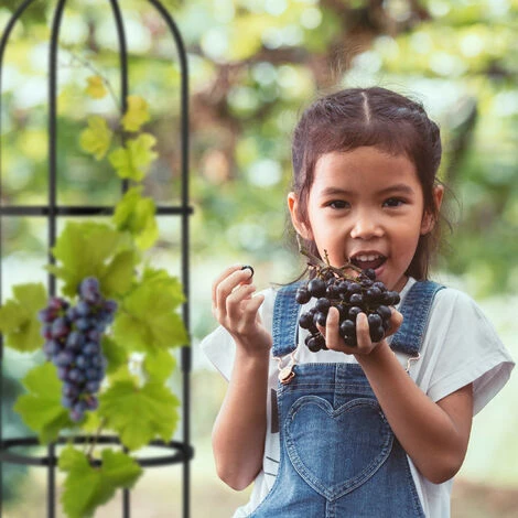 Relaxdays Trellis Obélisque, Lot De 2, 160 M De Hauteur, Plantes Grimpantes, En Métal, Stable, Tour Pour Rosier, Noir 6 Relaxdays Trellis Obélisque, Lot De 2, 160 M De Hauteur, Plantes Grimpantes, En Métal, Stable, Tour Pour Rosier, Noir – Image 4