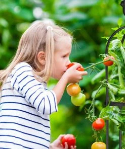 Relaxdays Trellis Obélisque, Lot De 2, 126 M De Hauteur, Plantes Grimpantes, En Métal, Stable, Tour Pour Rosier, Noir 10 Relaxdays Trellis Obélisque, Lot De 2, 126 M De Hauteur, Plantes Grimpantes, En Métal, Stable, Tour Pour Rosier, Noir -Accessoire de culture Soldes Boutique 58467476 4