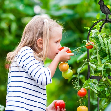 Relaxdays Trellis Obélisque, Lot De 2, 126 M De Hauteur, Plantes Grimpantes, En Métal, Stable, Tour Pour Rosier, Noir 6 Relaxdays Trellis Obélisque, Lot De 2, 126 M De Hauteur, Plantes Grimpantes, En Métal, Stable, Tour Pour Rosier, Noir – Image 4