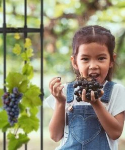 Relaxdays Trellis Obélisque, Lot De 2, 180 Cm De Hauteur, Plantes Grimpantes, En Métal, Stable, Tour Pour Rosier, Noir 10 Relaxdays Trellis Obélisque, Lot De 2, 180 Cm De Hauteur, Plantes Grimpantes, En Métal, Stable, Tour Pour Rosier, Noir -Accessoire de culture Soldes Boutique 58467491 4