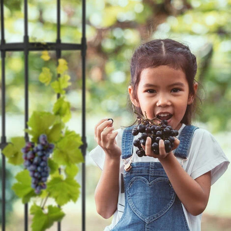 Relaxdays Trellis Obélisque, Lot De 2, 180 Cm De Hauteur, Plantes Grimpantes, En Métal, Stable, Tour Pour Rosier, Noir 6 Relaxdays Trellis Obélisque, Lot De 2, 180 Cm De Hauteur, Plantes Grimpantes, En Métal, Stable, Tour Pour Rosier, Noir – Image 4