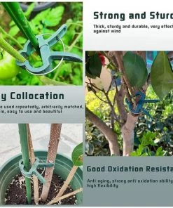 AIDUCHO 20 Clips à Plantes En Plastique Vert Foncé Pinces De Fixation, Pinces Stables Pour Fixer Les Plantes Grimpante Pour Supporter Des Fleurs Fruits Ou Légumes Dans Jardins Ou Fermes -Accessoire de culture Soldes Boutique 58489482 4