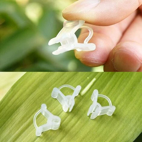 AIDUCHO 20 Clips à Plantes De Jardin Et 20 Pince à Greffer Plantes Soutien Pince De Jardin Fleur Clip De Fixation Clips De Vigne Clip De Tomates Pour Sécuriser Les Plantes Au Plante Prend En Charge Blanc 6 AIDUCHO 20 Clips à Plantes De Jardin Et 20 Pince à Greffer Plantes Soutien Pince De Jardin Fleur Clip De Fixation Clips De Vigne Clip De Tomates Pour Sécuriser Les Plantes Au Plante Prend En Charge Blanc – Image 4