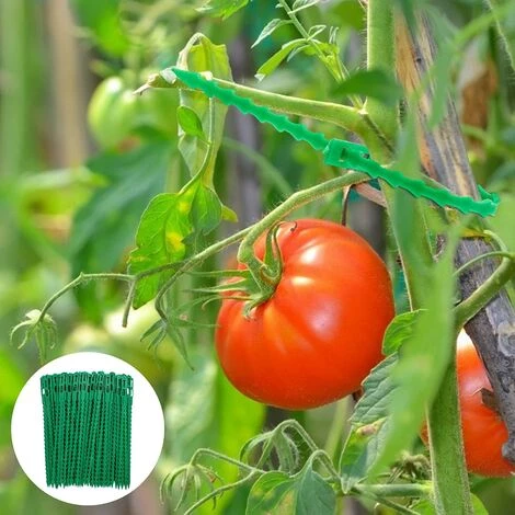 AIDUCHO Attaches De Plantes Réglable Attaches De Torsion En Plastique Flexible Attaches De Câble De Jardin Pour Aider à Soutenir Les Plantes, Vignes 22cm 50Pièces (Vert) 4 AIDUCHO Attaches De Plantes Réglable Attaches De Torsion En Plastique Flexible Attaches De Câble De Jardin Pour Aider à Soutenir Les Plantes, Vignes 22cm 50Pièces (Vert) – Image 2