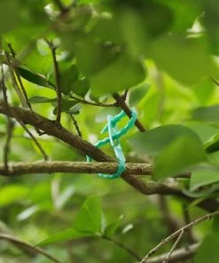 AIDUCHO Attaches De Plantes Réglable Attaches De Torsion En Plastique Flexible Attaches De Câble De Jardin Pour Aider à Soutenir Les Plantes, Vignes 17cm 20Pièces (Vert) -Accessoire de culture Soldes Boutique 58489554 3