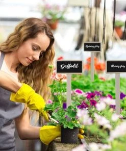 AOUGO Étiquettes De Jardin Potager, Mini étiquettes De Plantes De Tableau Noir En Bois Pour Pot De Fleur Graines Herbes En Pot Légumes 30 Pièces 11 AOUGO Étiquettes De Jardin Potager, Mini étiquettes De Plantes De Tableau Noir En Bois Pour Pot De Fleur Graines Herbes En Pot Légumes 30 Pièces -Accessoire de culture Soldes Boutique 58573763 5