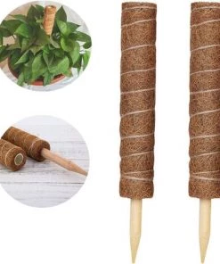 AOUGO 2 Pièces Tuteur Plante,Tuteur Coco, Poteau De Coco, Bâton De Coco Pour La Maison Jardin Plante Grimpantes Extension De Support De Plante