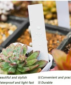 AOUGO 100 étiquettes De Plantes En Plastique 10x2cm étiquettes De Jardin étanches Marqueurs De Semis En Plastique étiquettes De Plantes De Pépinière étiquettes De Pot De Fleur Plantes En PVC -Accessoire de culture Soldes Boutique 58576069 3