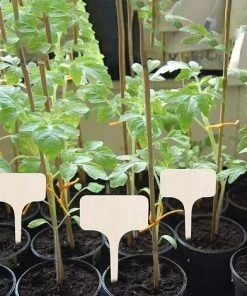 FLYME Etiquettes De Plantes En Bois,Etiquettes De Plantes Bambou,Plantes En Bambou D'étiquette,Bambou Plante Étiquettes,Étiquettes Pour Plante ,Bois Marqueurs De Type (A) -Accessoire de culture Soldes Boutique 58772611 5