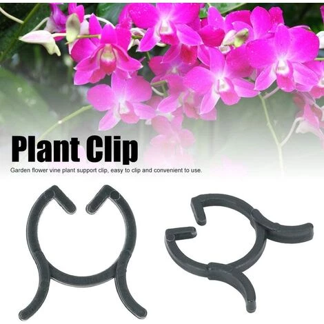 CHANCEY 200 Pièces Clips De Plantes De Jardin,SEMAket Tiges Fleurs Durables Clips De Support De Vigne Poussent Des Accessoires D'Outil De Fixation De Jardin D'escalade Verticale (20mm) 4 CHANCEY 200 Pièces Clips De Plantes De Jardin,SEMAket Tiges Fleurs Durables Clips De Support De Vigne Poussent Des Accessoires D'Outil De Fixation De Jardin D'escalade Verticale (20mm) – Image 2