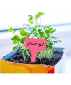 CHANCEY Lot De 100 étiquettes En Plastique Pour Plantes Et Légumes Rose 6 X 10 Cm，SEMAket -Accessoire de culture Soldes Boutique 58805931 4