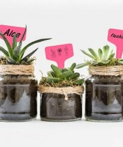 CHANCEY Lot De 100 étiquettes En Plastique Pour Plantes Et Légumes Rose 6 X 10 Cm，SEMAket -Accessoire de culture Soldes Boutique 58805931 5