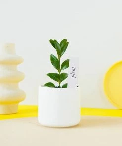 CHANCEY Lot De 100 étiquettes Pour Plantes De Jardin, SEMAket 10 Cm Plantes Plastique Balises Et Marqueur étanche - Gris Blanc -Accessoire de culture Soldes Boutique 58806152 4