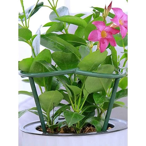 GUAZHUNIFR Lot De 12 Tuteurs Semi-circulaires Pour Plantes En Pot, Treillis Grimpant Pour Plante Grimpante Monstera, Serpent Et Rose,GU.B/bon 6 GUAZHUNIFR Lot De 12 Tuteurs Semi-circulaires Pour Plantes En Pot, Treillis Grimpant Pour Plante Grimpante Monstera, Serpent Et Rose,GU.B/bon – Image 4