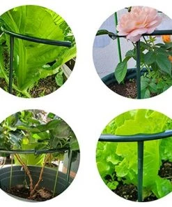 GUAZHUNIFR Lot De 12 Tuteurs Semi-circulaires Pour Plantes En Pot, Treillis Grimpant Pour Plante Grimpante Monstera, Serpent Et Rose,GU.B/bon 11 GUAZHUNIFR Lot De 12 Tuteurs Semi-circulaires Pour Plantes En Pot, Treillis Grimpant Pour Plante Grimpante Monstera, Serpent Et Rose,GU.B/bon -Accessoire de culture Soldes Boutique 58966221 5