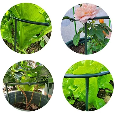 GUAZHUNIFR Lot De 12 Tuteurs Semi-circulaires Pour Plantes En Pot, Treillis Grimpant Pour Plante Grimpante Monstera, Serpent Et Rose,GU.B/bon 7 GUAZHUNIFR Lot De 12 Tuteurs Semi-circulaires Pour Plantes En Pot, Treillis Grimpant Pour Plante Grimpante Monstera, Serpent Et Rose,GU.B/bon – Image 5