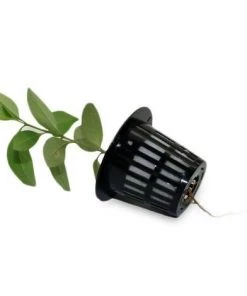 MEDIA WAVE STORE ® 4481 Set De 10 Paniers Hydroponiques Différentes Tailles Et Formes -Accessoire de culture Soldes Boutique 59227708 5