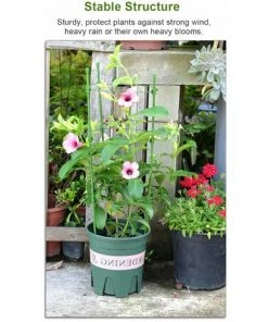 LIFCAUSAL 1 Pc/3 Pcs/5 Pcs Jardin Treillis Plante Support Cages Enjeux Pour Jardin Plantes Grimpantes Fleur Légume,Type B Et 1PC, -Accessoire de culture Soldes Boutique 59386051 4