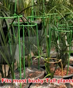 LIFCAUSAL Support De Plante Grimpante Piquets De Support De Plante Haute Cage à Anneau-g Pour Plante De Jardin Fleur Légume,XL Et 1PC, -Accessoire de culture Soldes Boutique 59386100 5