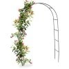 Relaxdays Arche à Rosier En Métal, Portail Pour Jardin, HxLxP: 240 X 140 X 38,5 Cm, Tuteur Pour Plantes Grimpantes, Noir 1 Relaxdays Arche à Rosier En Métal, Portail Pour Jardin, HxLxP: 240 X 140 X 38,5 Cm, Tuteur Pour Plantes Grimpantes, Noir -Accessoire de culture Soldes Boutique 59470303 1