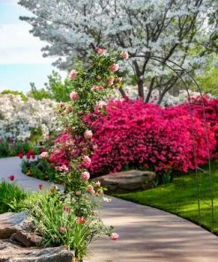 Relaxdays Arche à Rosier En Métal, Portail Pour Jardin, HxLxP: 240 X 140 X 38,5 Cm, Tuteur Pour Plantes Grimpantes, Noir 9 Relaxdays Arche à Rosier En Métal, Portail Pour Jardin, HxLxP: 240 X 140 X 38,5 Cm, Tuteur Pour Plantes Grimpantes, Noir -Accessoire de culture Soldes Boutique 59470303 3